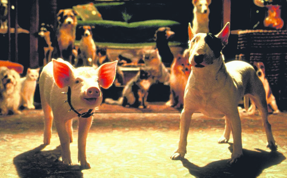 Babe 2, le cochon dans la ville