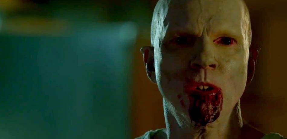 The Strain, saison 1