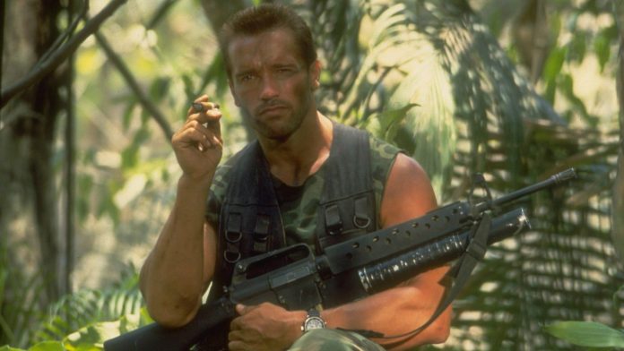 Predator