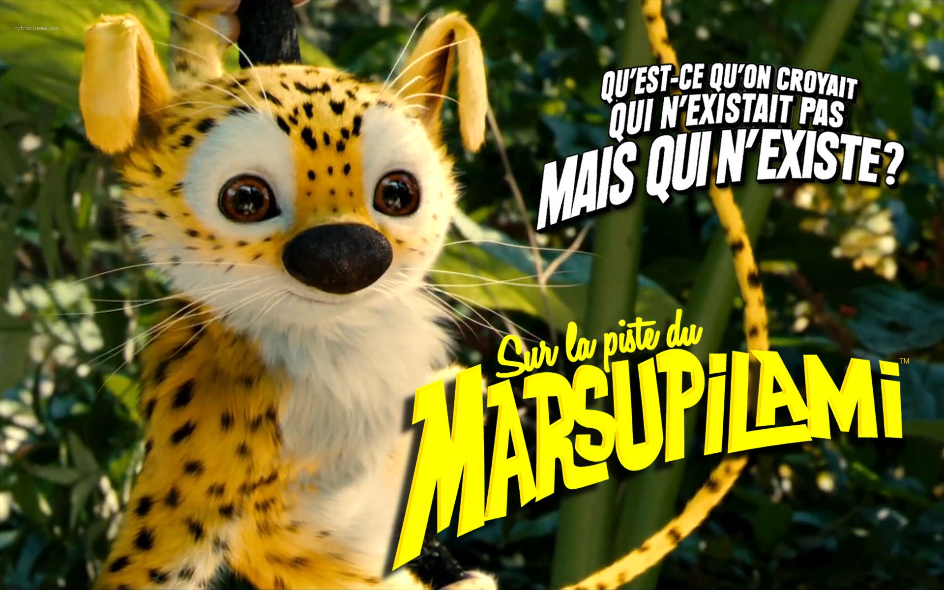 Sur la piste du Marsupilami