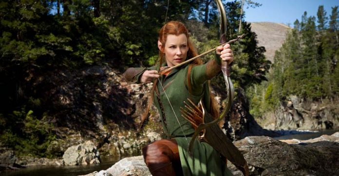Le Hobbit : La Désolation de Smaug