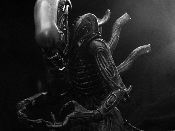 Alien 5 Neill Blomkamp