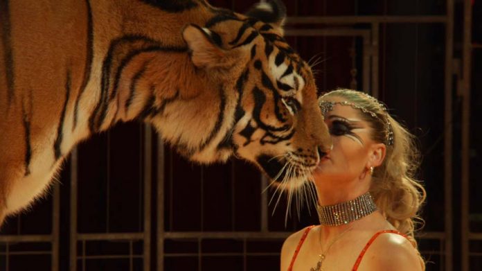 Wild Women – Gentle Beasts