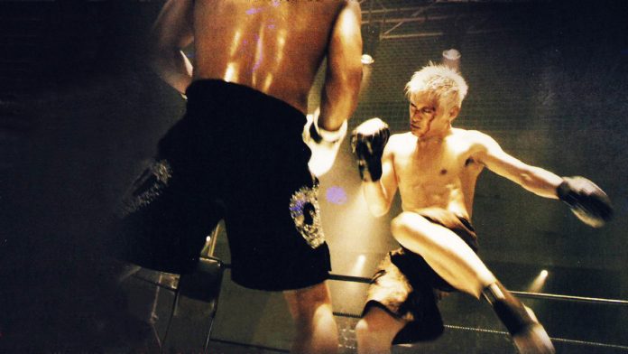 Coq de combat
