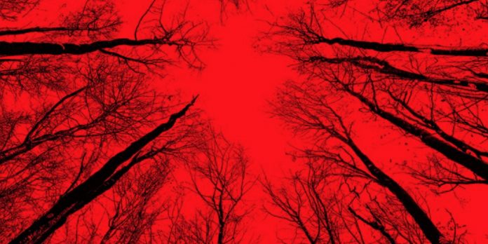 blairwitch2016-UN