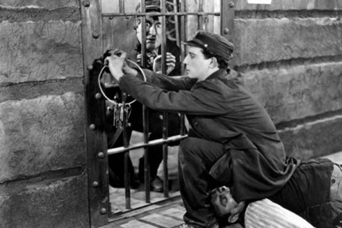 Cadet d’eau douce