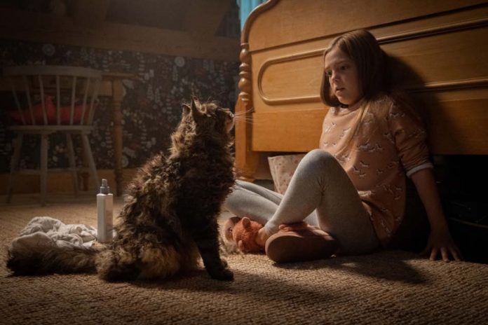 Simetierre (Pet Sematary)