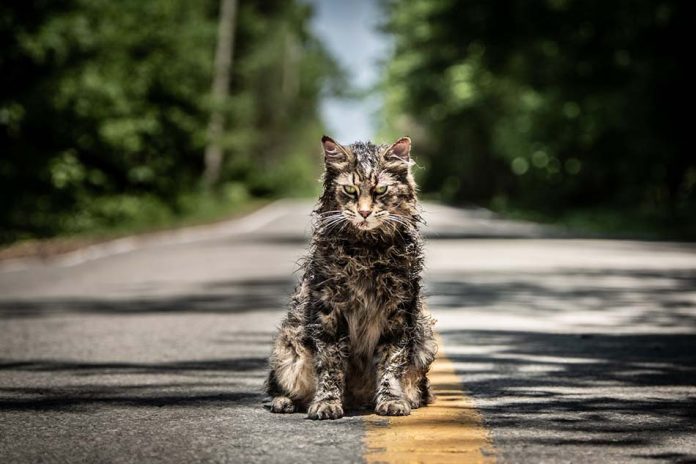 Simetierre (Pet Sematary)