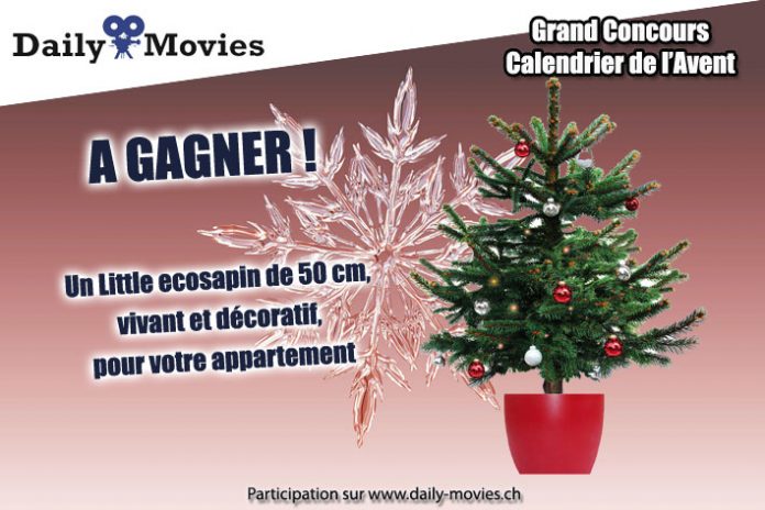 concours_calendrier avent 2018 - ecosapin DM