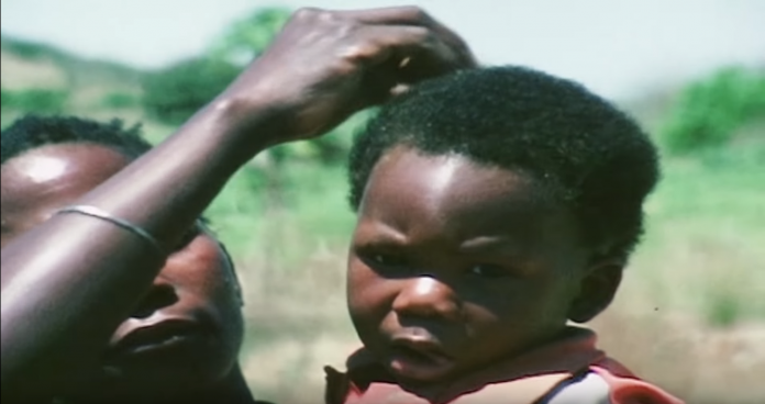 Tanzanie, l’expérience UJAMAA, L’utopie et la réalité