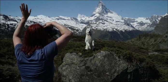SWITZERLANDERS