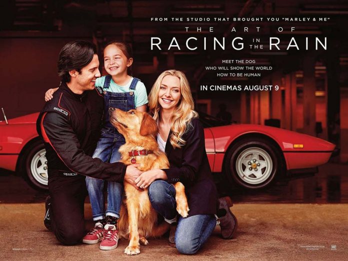 L'Art de courir sous la pluie (The Art of Racing in the Rain)