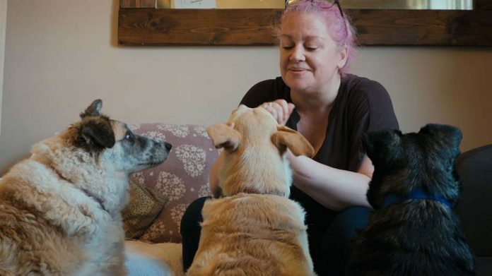 Cody – The dog days are over