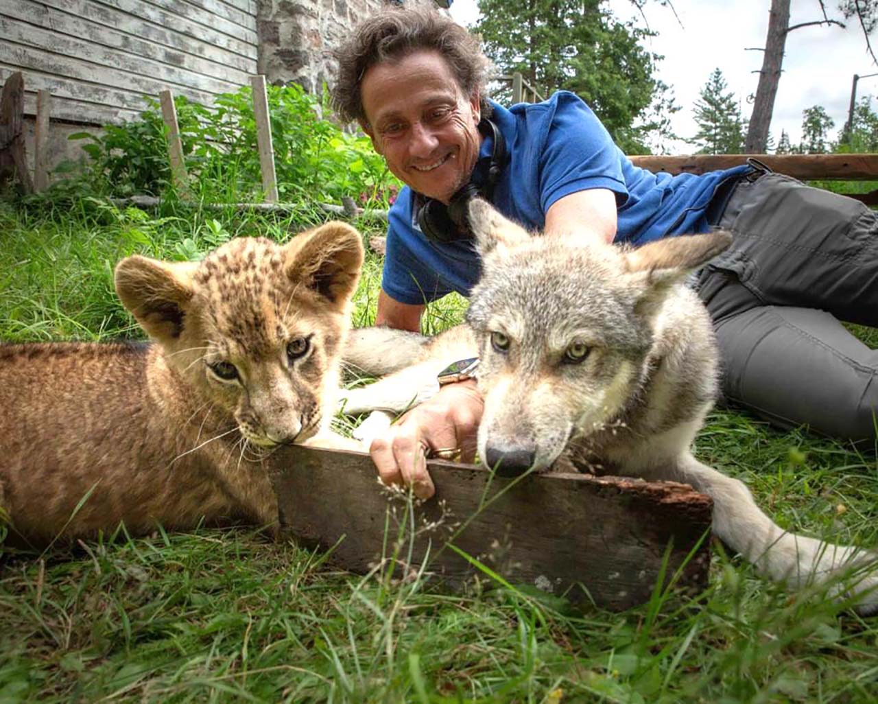 Le Loup et le Lion - Daily Movies