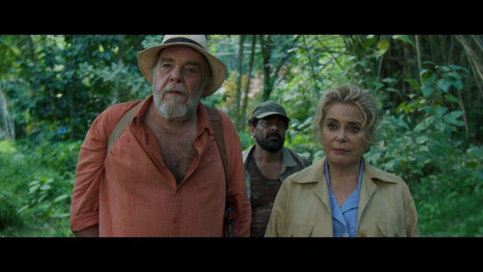 Terrible Jungle