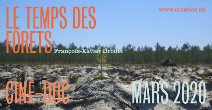 CineDoc : Le Temps des Forêts