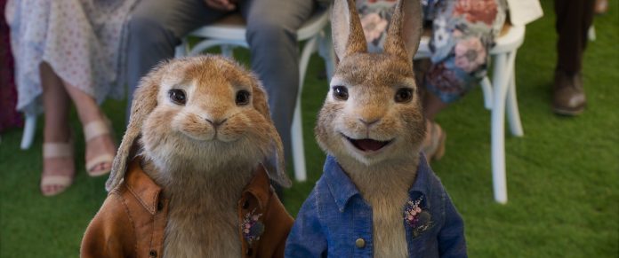 Pierre-Lapin-2_2021_8