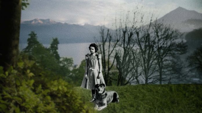 La Pacifiste