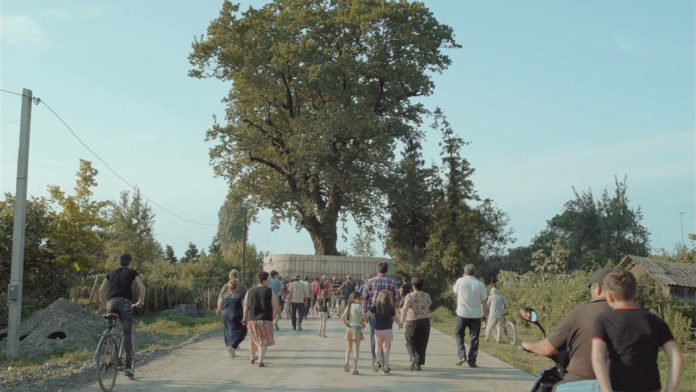 La balade des grands arbres