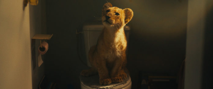 King