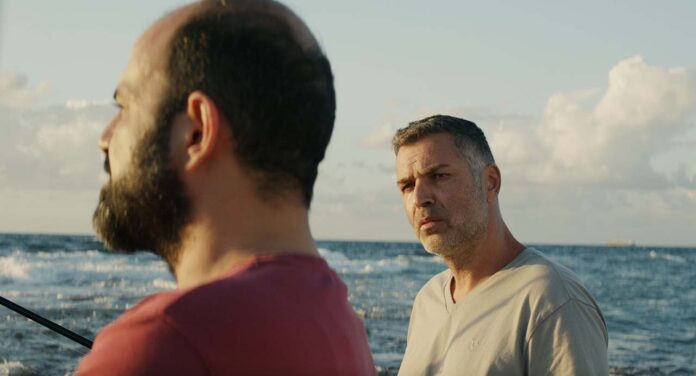 Mediterranean Fever (4)