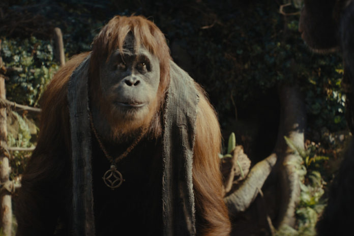 La Planète des Singes: Le Nouveau Royaume