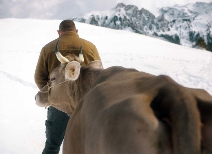 Trois hivers (9)