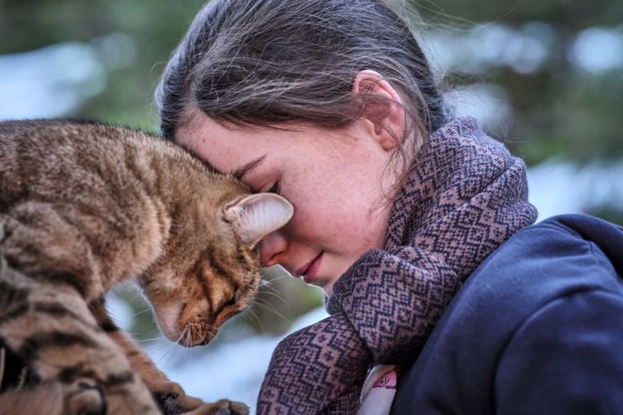Mon chat et moi, la grande aventure de Rroû (8)