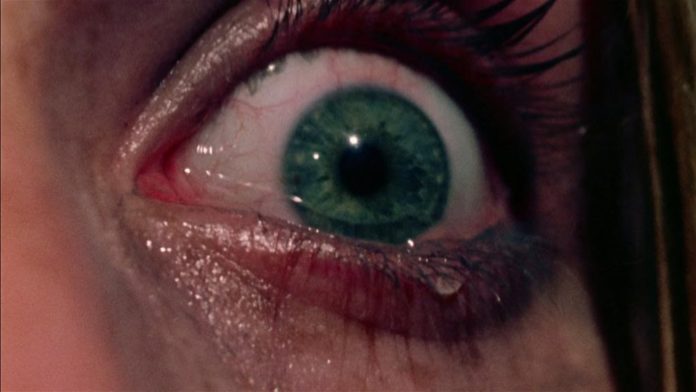 The Texas Chainsaw Massacre 1 - oeil
