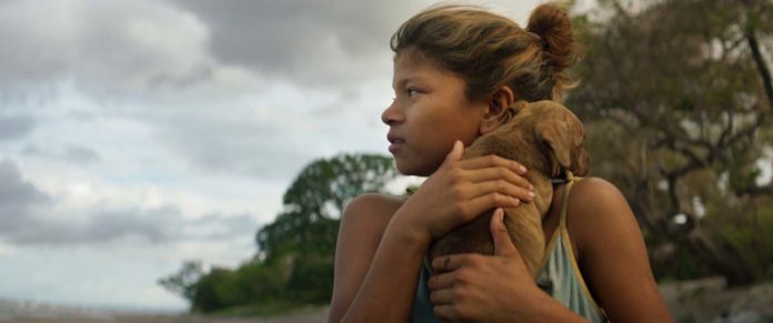 La hija de todas las rabias (5)