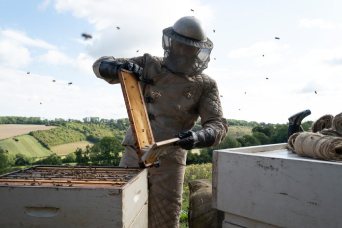 The Beekeeper