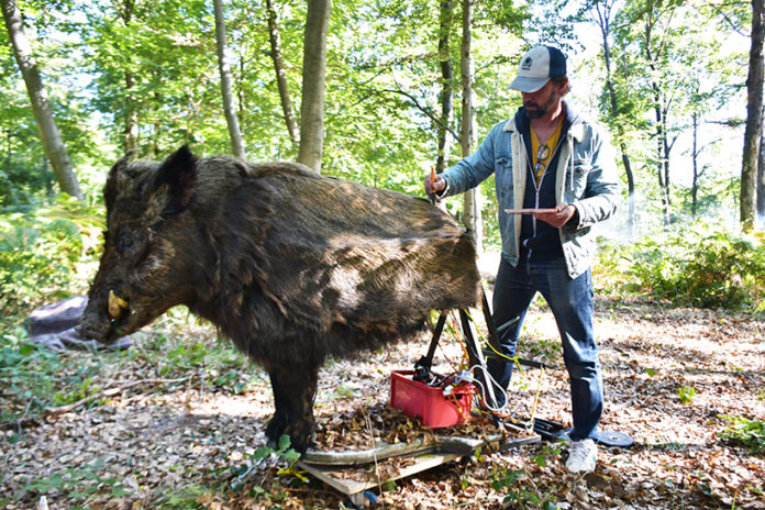 Chasse gardée
