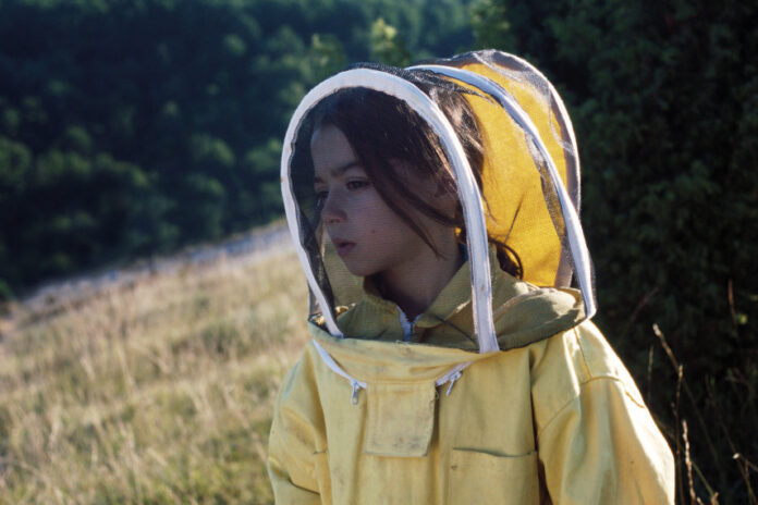20 000 espèces d'abeilles