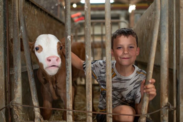 La Ferme des Bertrand