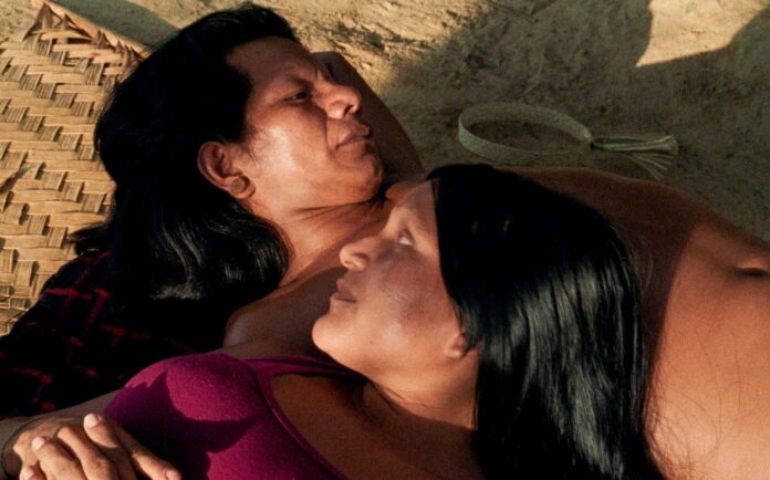 The Buriti Flower (2)