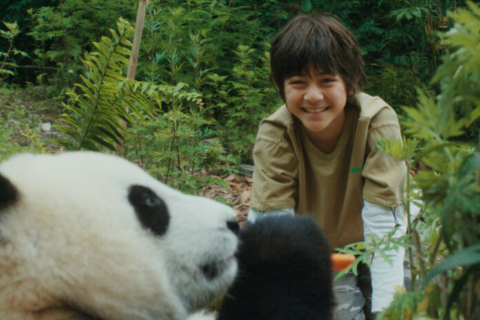 Moon le panda