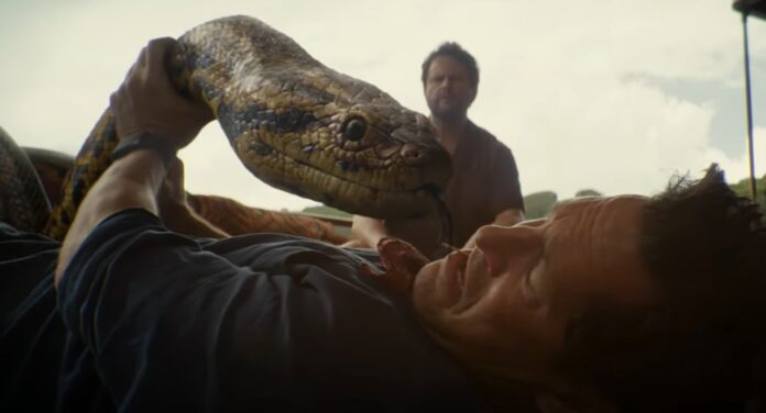 Anaconda