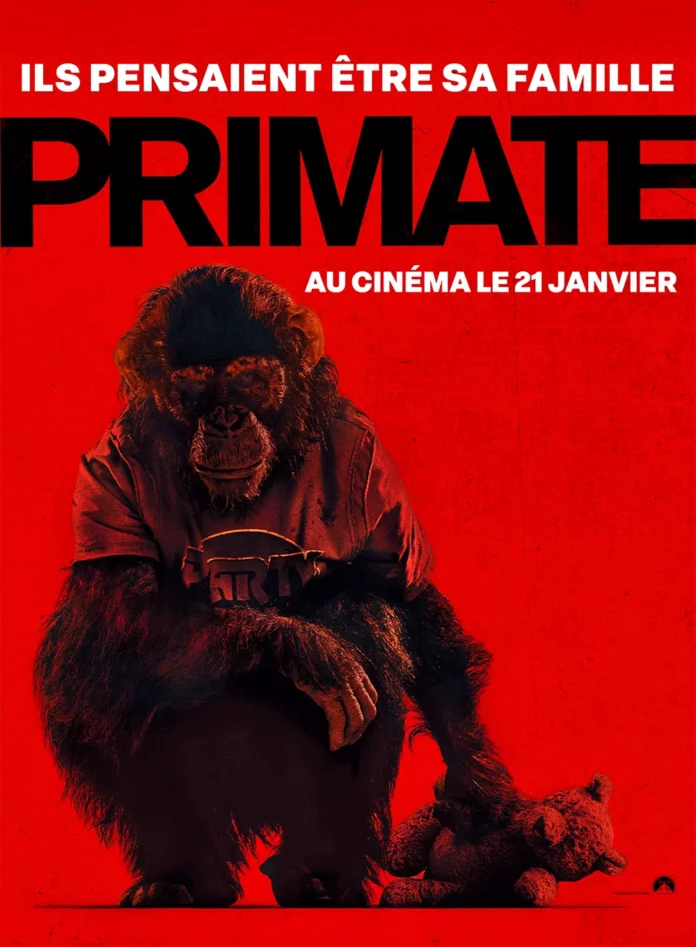Image de couverture.png
