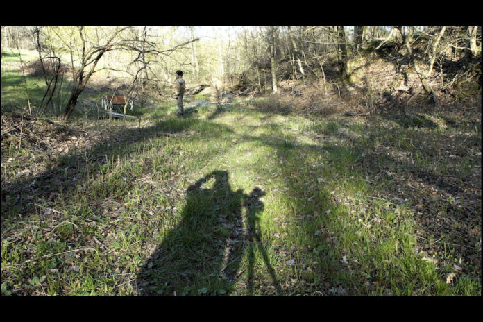 While the Green Grass Grows : A Diary in Seven Parts